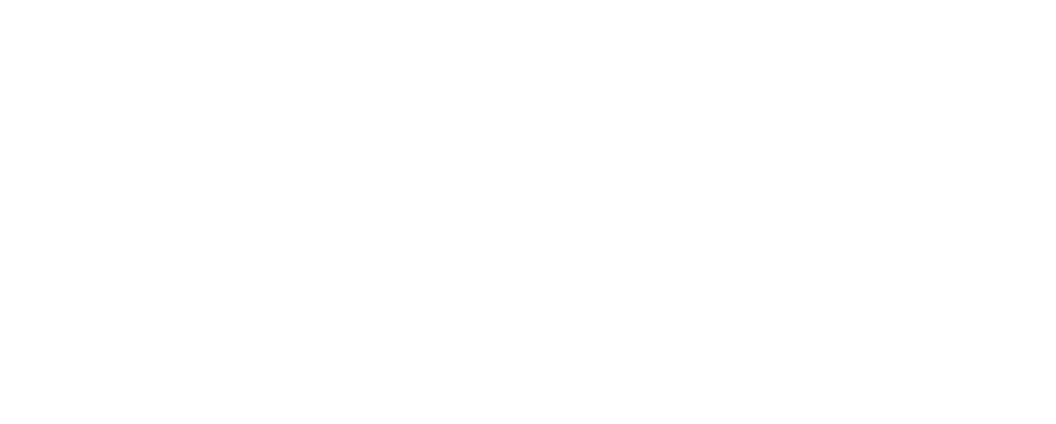 QuickSilver Courier